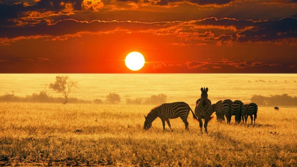 Sudafrica Fin de año